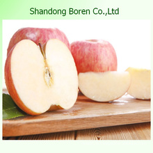 FUJI Apple en Chine De Shandong